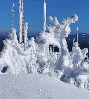 Winterlandschaft 